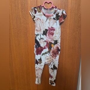 Posh Peanut Black Rose